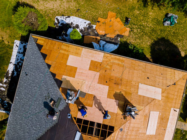 Quick and Trustworthy Emergency Roof Repair Services in Debary, FL